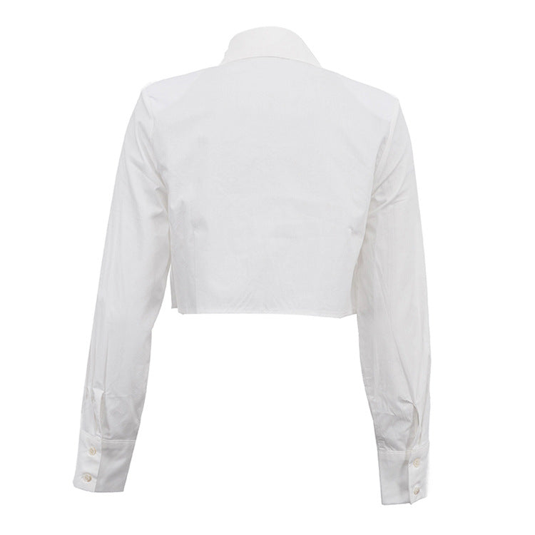 Pointed Collar Heart Cutout Long Sleeve Crop Shirt DC-Beyond Borders Collective