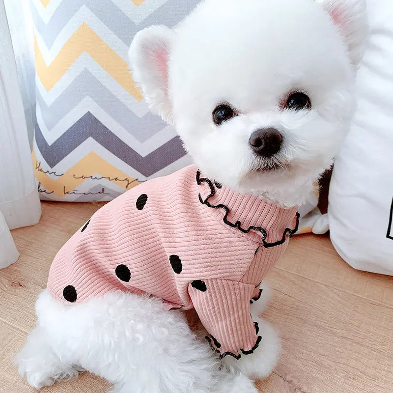 Dot Turtleneck Dog Shirt RightOn68