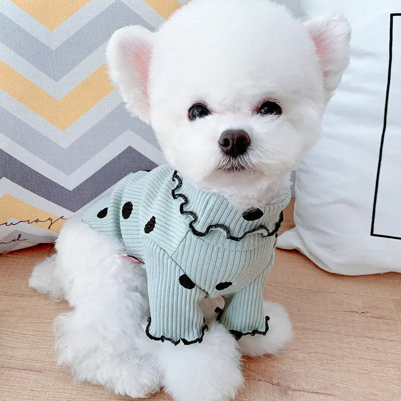 Dot Turtleneck Dog Shirt RightOn68