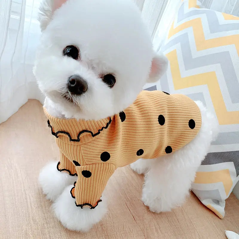 Dot Turtleneck Dog Shirt RightOn68