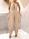 Halter-neck Crossover Backless Jumpsuit With Pleated Wide-leg Harem Pants DC-Beyond Borders Collective