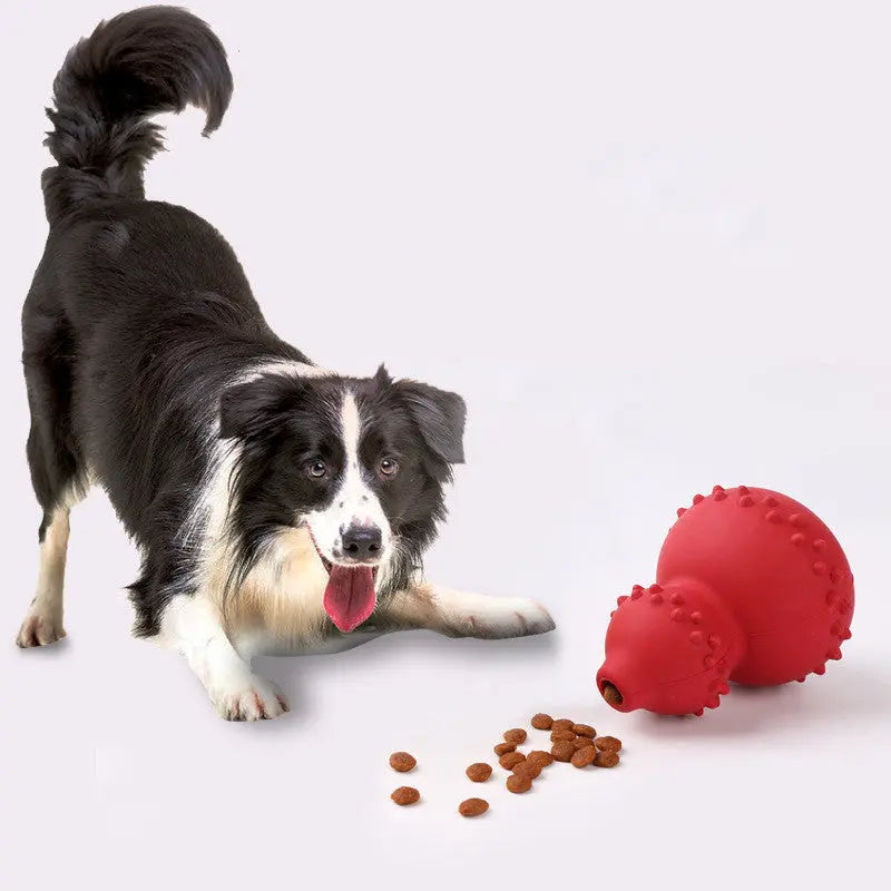Rubber Resistant Pet Toy RightOn68